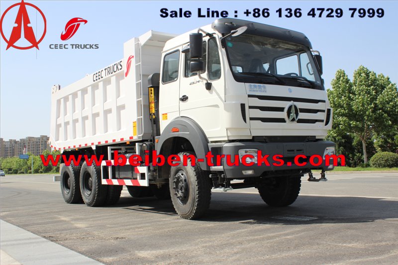 CONGO north benz dump truck for Burear veritas inspection 