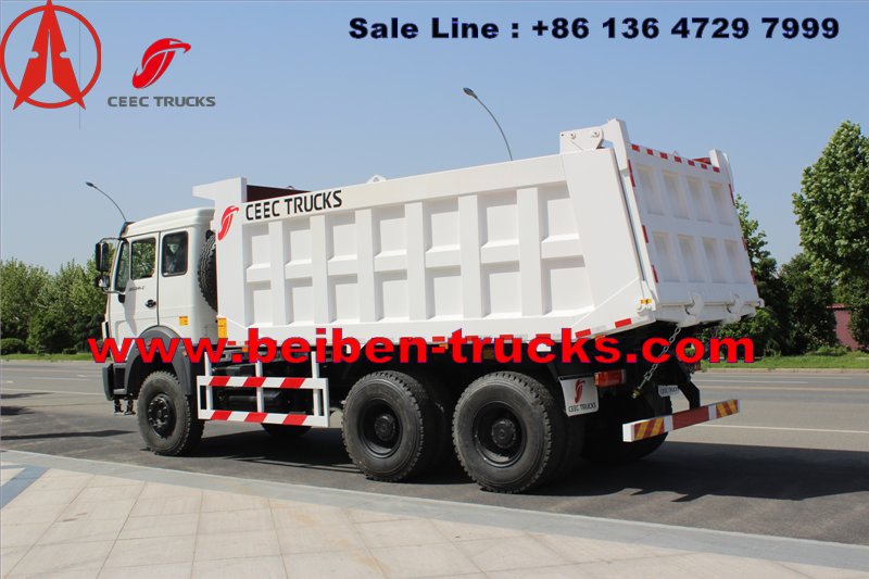 CONGO north benz dump truck for Burear veritas inspection 