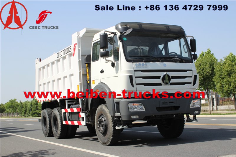 CONGO north benz dump truck for Burear veritas inspection 