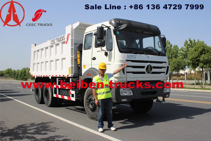 CONGO north benz dump truck for Burear veritas inspection 