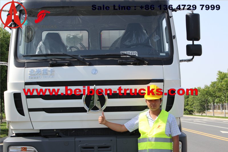 CONGO north benz dump truck for Burear veritas inspection 