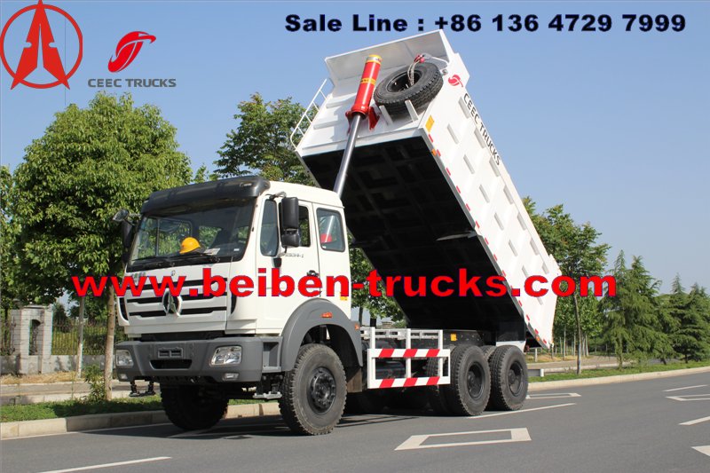 CONGO north benz dump truck for Burear veritas inspection 