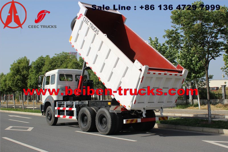 CONGO north benz dump truck for Burear veritas inspection 