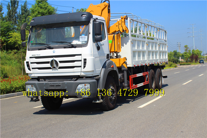 congo north benz 2638 cargo truck