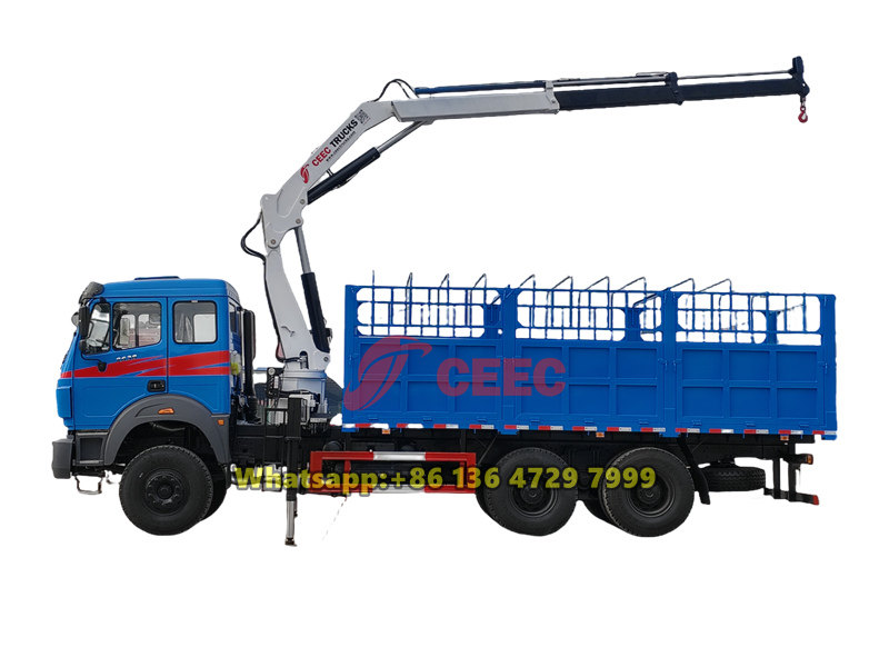 Beiben 10 wheeler truck bed jib crane