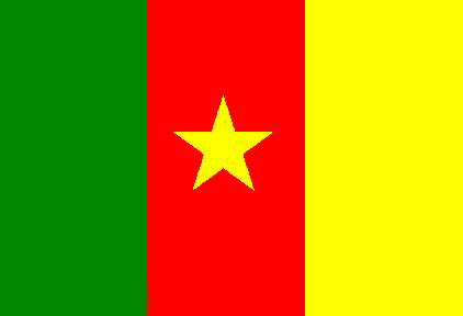 Cameroon beiben tractor trucks case